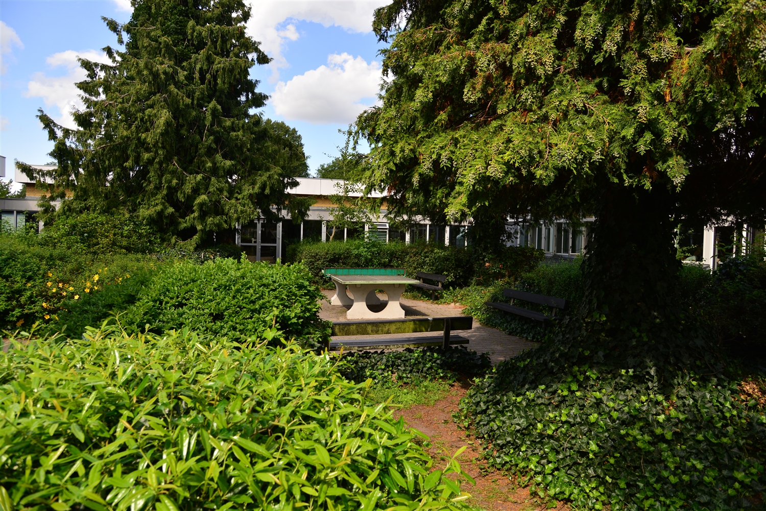 I midten ses et bordtennisbord. Rundt om er der buske og træer samt en gangsti med bænke. I bagrunden ses en bygning. 
